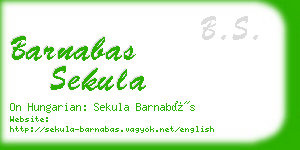 barnabas sekula business card